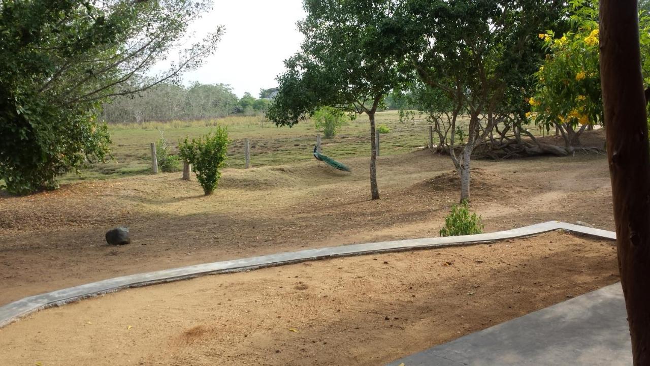 Taragala Chalets Kalametiya Exterior photo